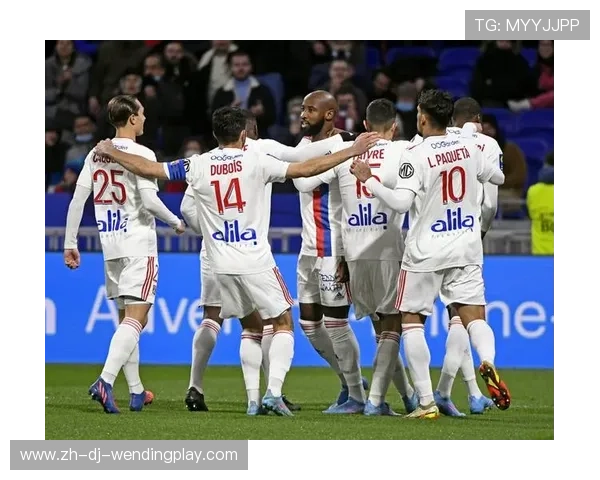 法甲球队有多少支球队：法甲联赛的参赛球队数量与结构