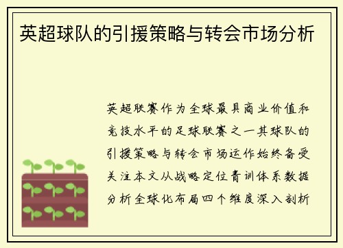 英超球队的引援策略与转会市场分析